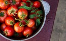Tác hại ghê gớm của cà chua ít người biết đến